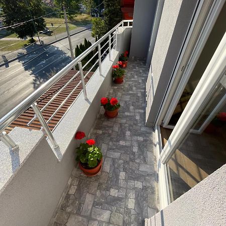 Apartman Ambijent อารันเยโลวัคส์ ภายนอก รูปภาพ